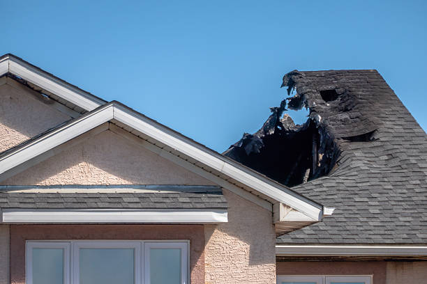 Top rated local Odor Removal specialists in Forest Hill, MD